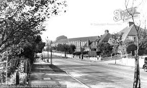 Image result for Selsdon Netball Club