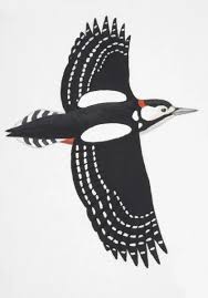 Attēlu rezultāti vaicājumam “Dendrocopos major male”