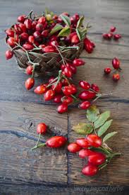 Attēlu rezultāti vaicājumam “Rosa villosa fruit”