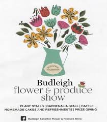 Image result for Budleigh Salterton Bowls Club