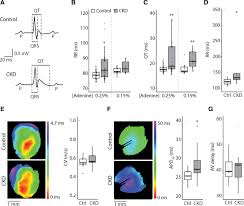 Image result for Peak Performance Ckd, Horley