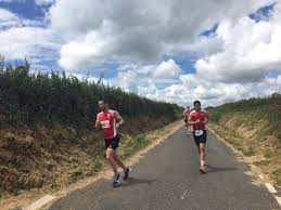 Image result for Pembrokeshire Harriers