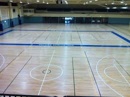 Image result for Springfields Badminton Club