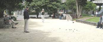 Image result for Wellington Petanque Club