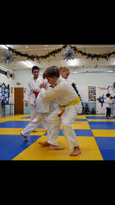 Image result for Felixstowe Judo club