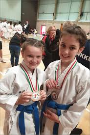 Image result for Ynys Mon Shukokai Karate Club, North Wales