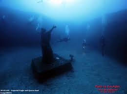 Image result for TAL Divers