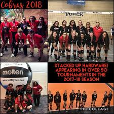 Image result for Cheltenham Cobras Volleyball Club