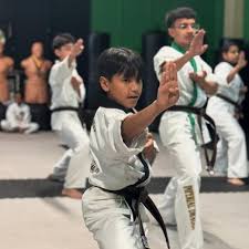 Image result for Imperial Karate Club