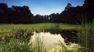 Image result for Falmouth and Helston Octopush Club