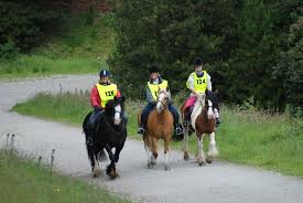 Image result for Civil Service Riding Club (Csrc)