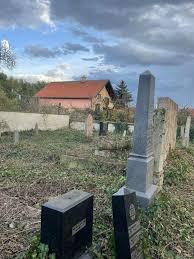 Image result for sényő