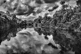 Image result for sebastiao salgado