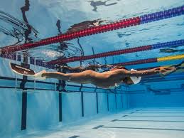 Image result for Blue Water Freediving School