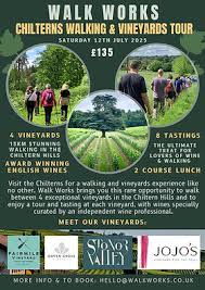 Image result for Chiltern Flyers