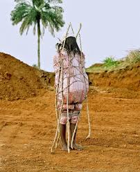 Attēlu rezultāti vaicājumam “Lycogala confusum young”