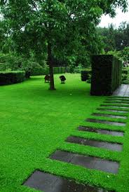 Image result for Mien Ruys