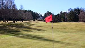 Image result for Abernethy Golf Club