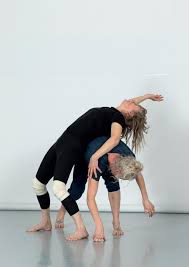Image result for L&G Acrobatics