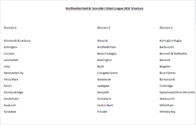 Image result for Tynedale Cricket Club