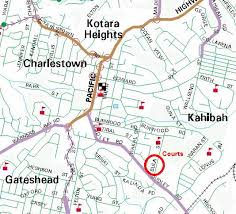 Image result for Charlestown/Adelphi Netball Club