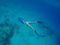 Image result for Blue Water Freediving School
