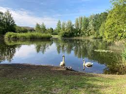 Image result for Thames Valley Angling