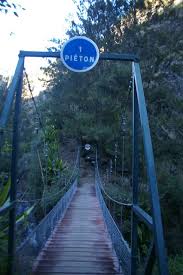 Image result for PONT DE SINGE