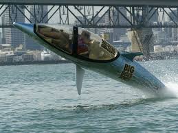 Image result for Dolphin Sub Aqua