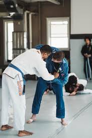 Image result for AAZENTAI JU JITSU
