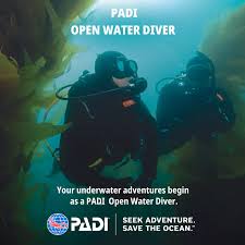 Image result for Robin Hood Dive School