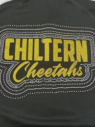 Image result for Chiltern Cheetahs American Football Club