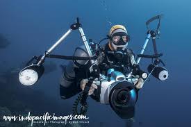 Image result for Deep and Wide Diving