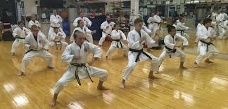 Image result for Kaizen No-Michi School of Shotokan Karate