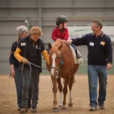 Image result for Riding For The Disabled