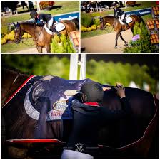 Image result for South Weylands Equestrian