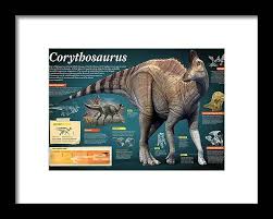 Bildergebnis für corythosaurus
