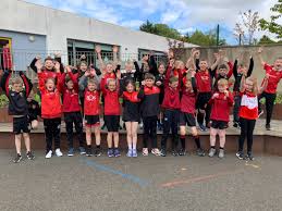 Image result for St Bronagh`s Gaa
