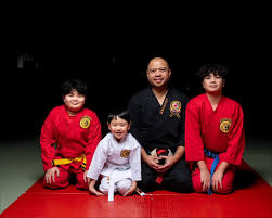 Image result for Northern Freestyle Karate Association