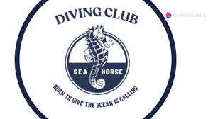 Image result for 3D Diving Club