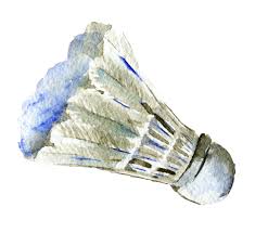 Image result for Thame Shuttles Badminton Club