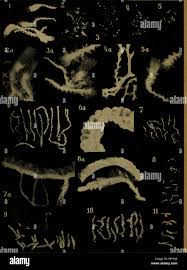 Attēlu rezultāti vaicājumam “Odontoschisma sphagni”