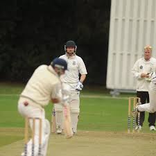 Image result for Saffron Walden Cricket Club