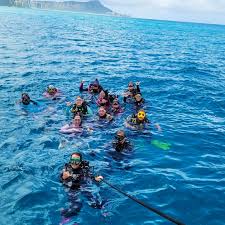 Image result for Headstream Divers