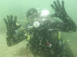 Image result for Plymouth Aquanauts
