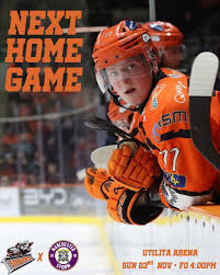 Image result for Sheffield Steelers