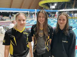 Image result for Bournemouth Spartans Winter Sea Swimming Club