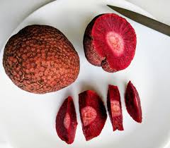 Attēlu rezultāti vaicājumam “Cinna latifolia fruit”