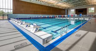 Image result for Coventry Swimming Club