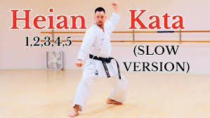 Image result for Shotokan Karate